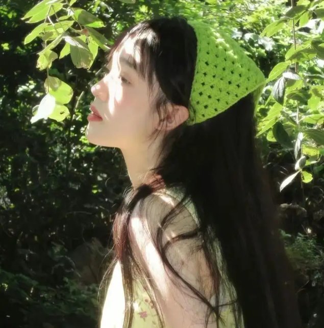 如翼之舟